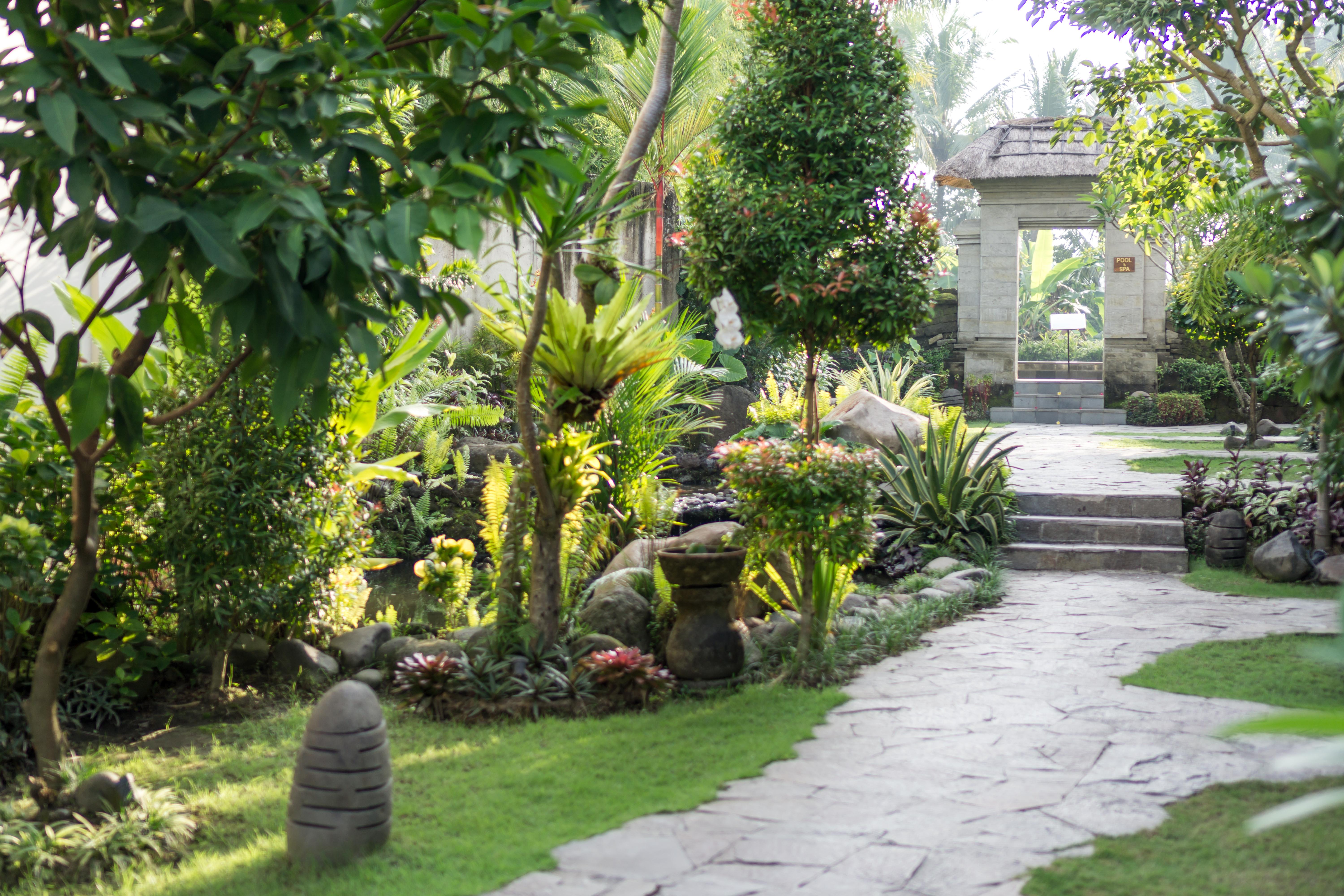 Radha Phala Resort & Spa Ubud Exteriér fotografie