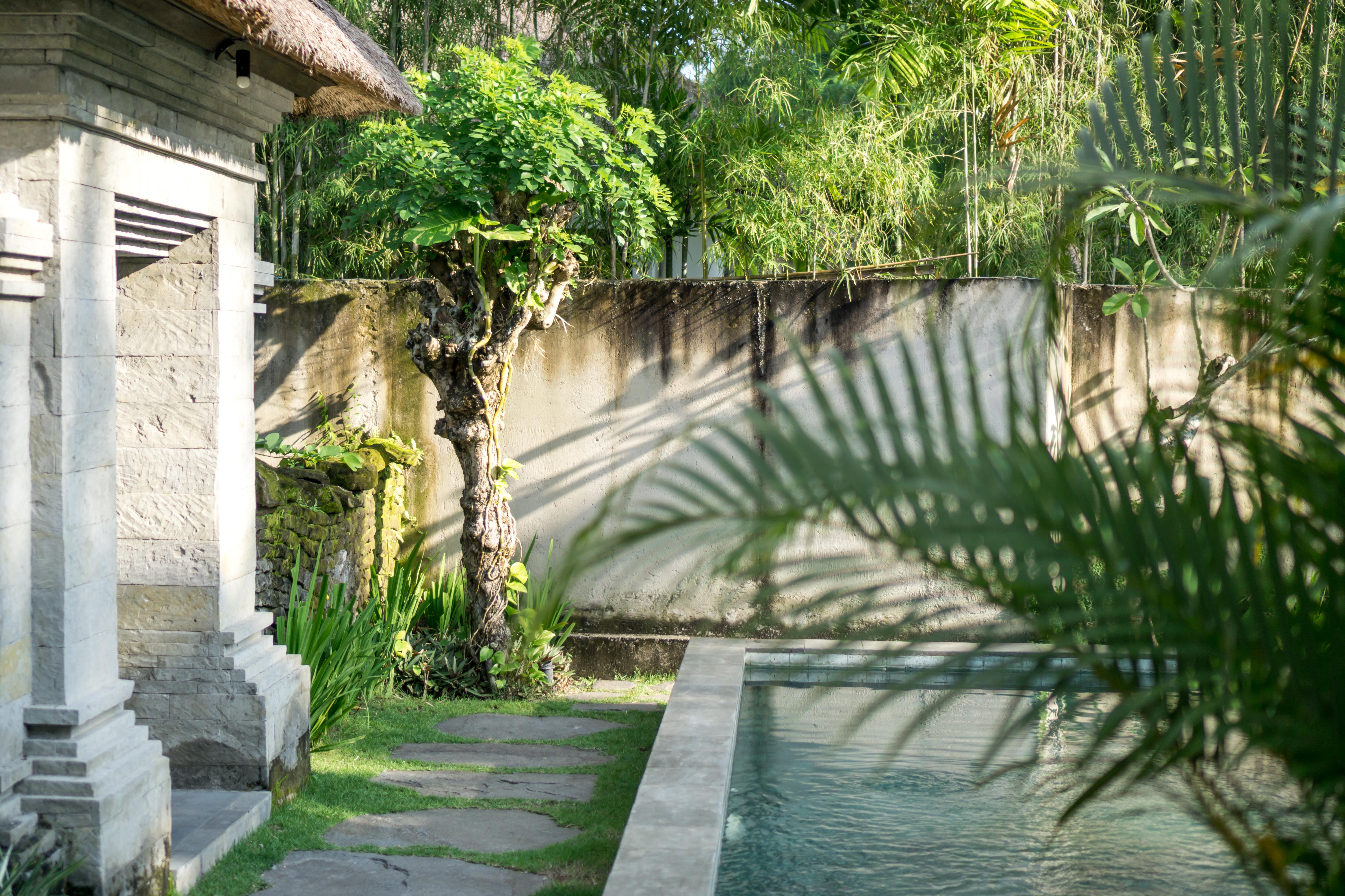 Radha Phala Resort & Spa Ubud Exteriér fotografie